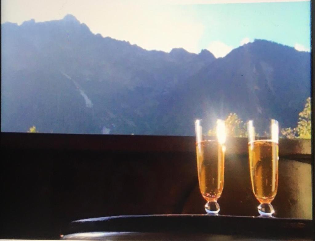 Chamonix Centre Le Grepon Apartman Kültér fotó